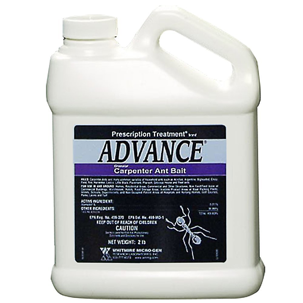 Amazon.com : BASF Advance Carpenter Ant Bait Granules, Ready to